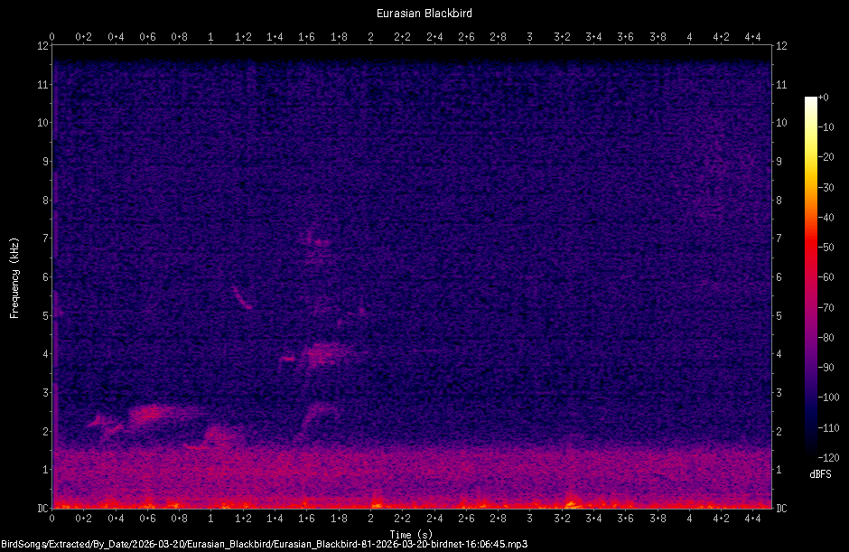 Spectrogram