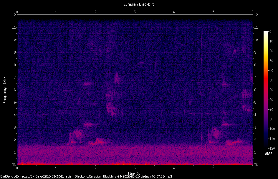 Spectrogram