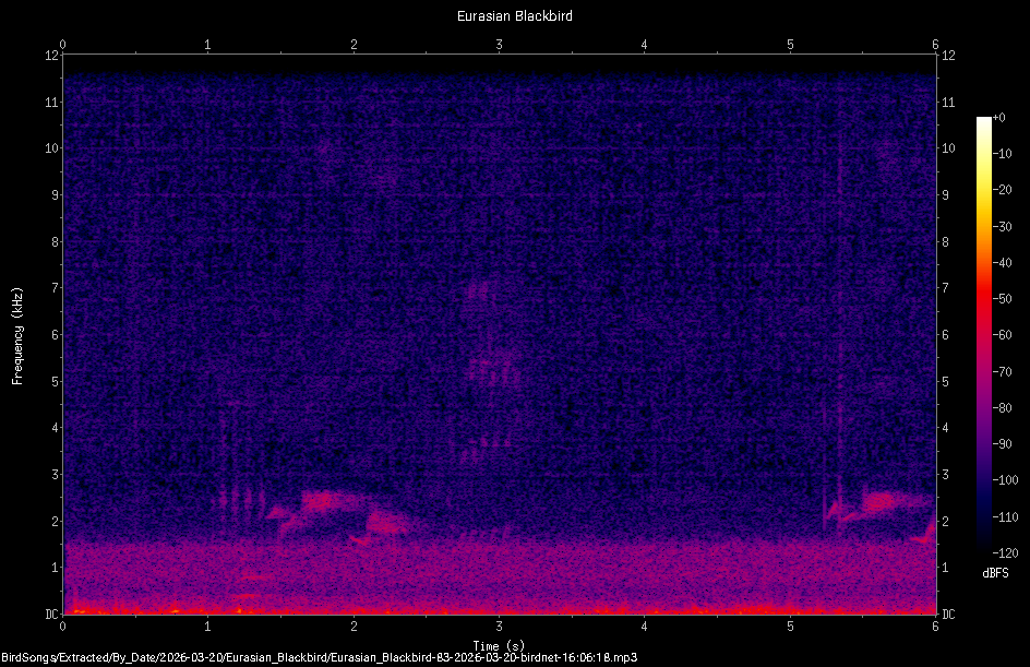 Spectrogram