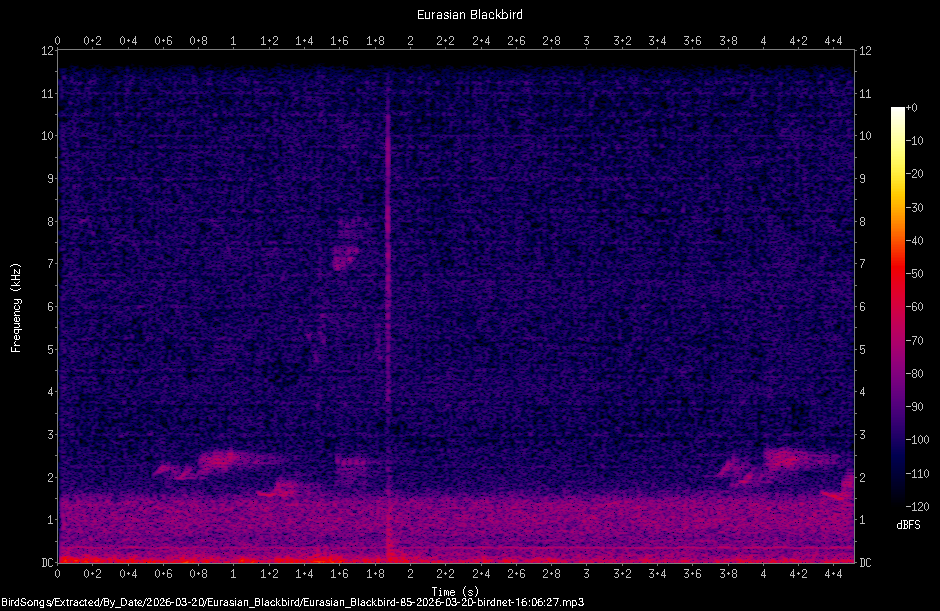 Spectrogram