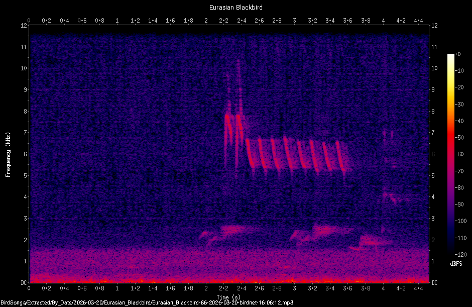 Spectrogram