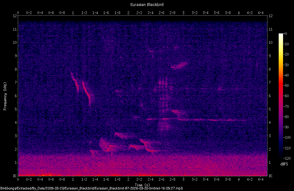 Spectrogram
