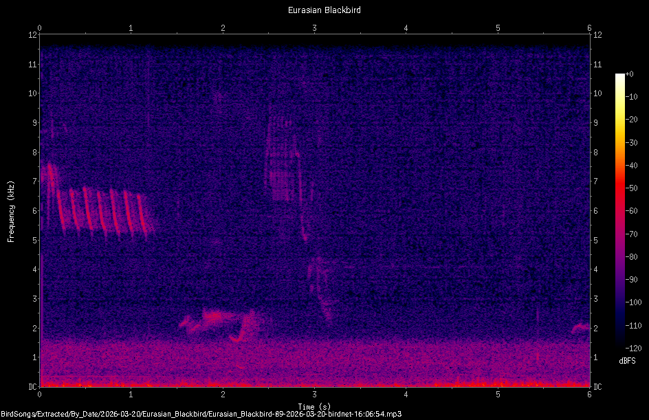Spectrogram