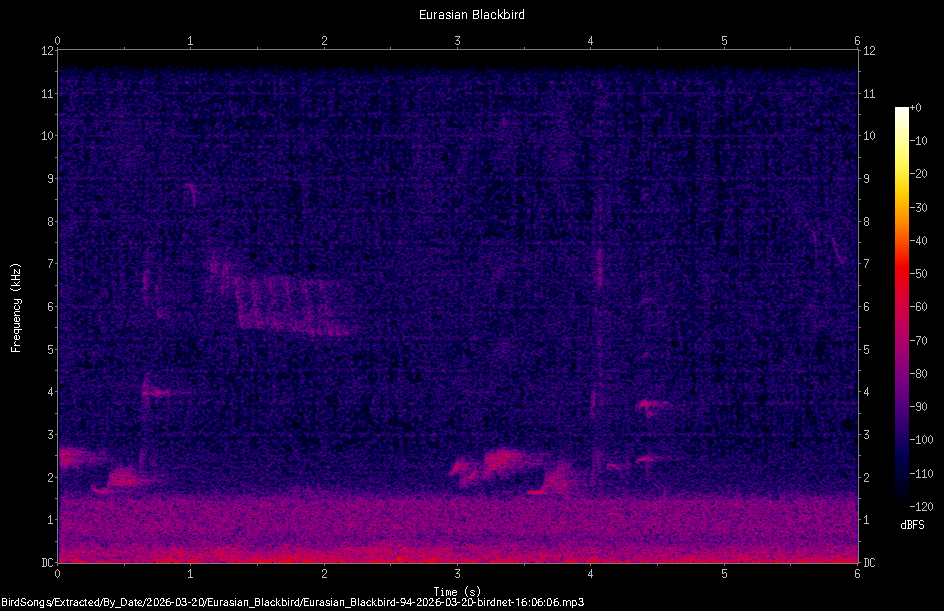 Spectrogram
