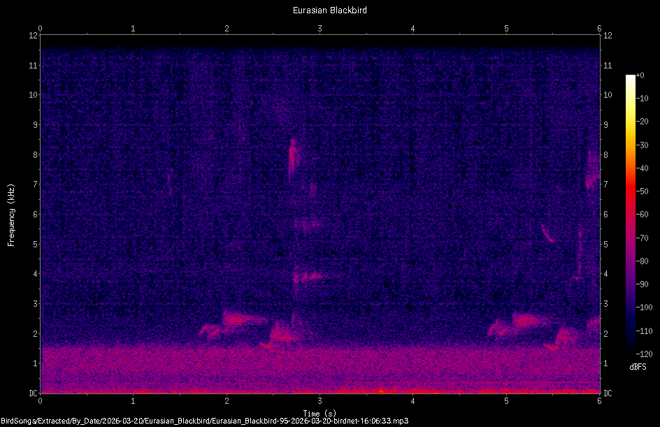 Spectrogram