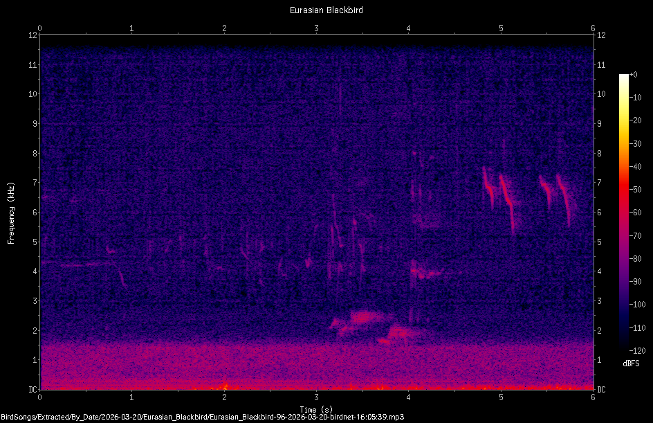 Spectrogram