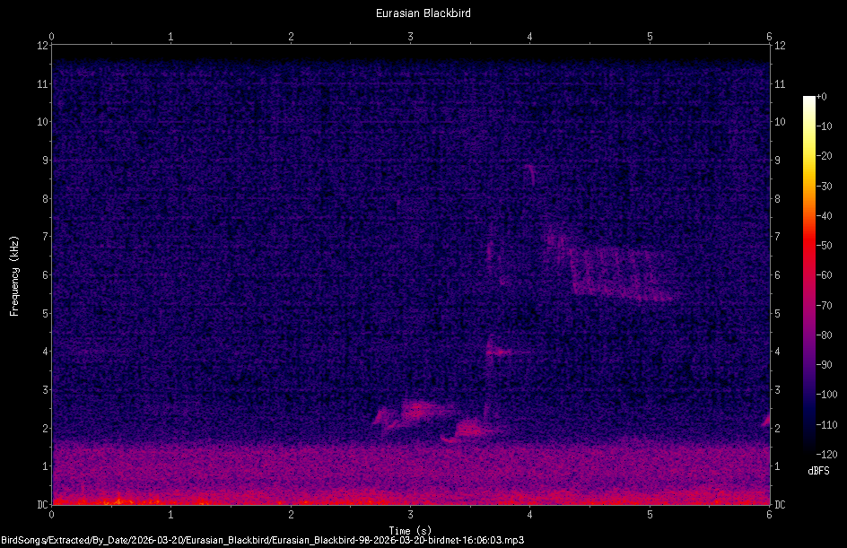 Spectrogram