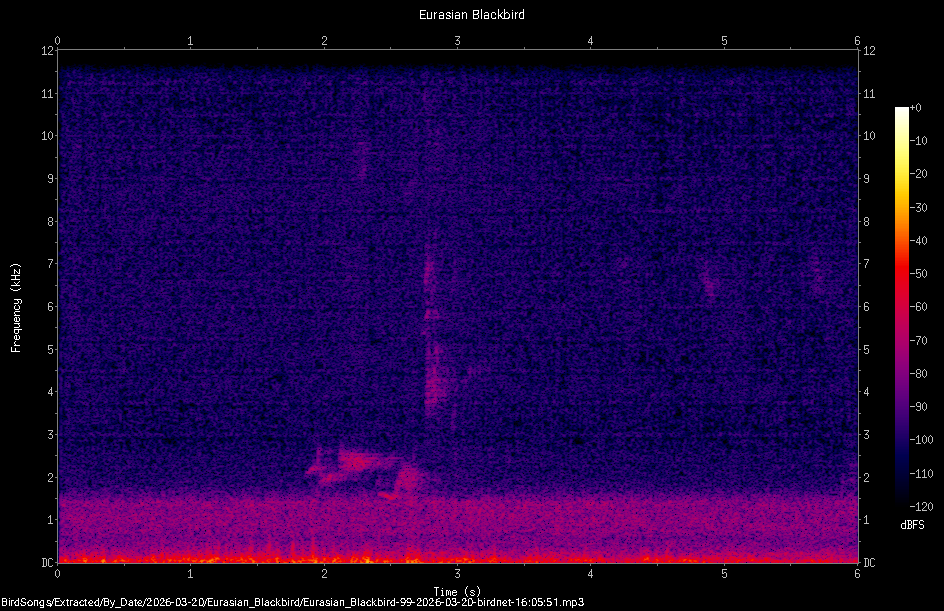 Spectrogram