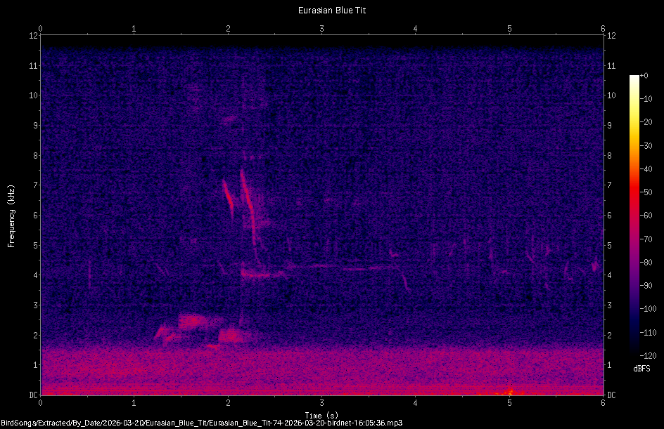 Spectrogram