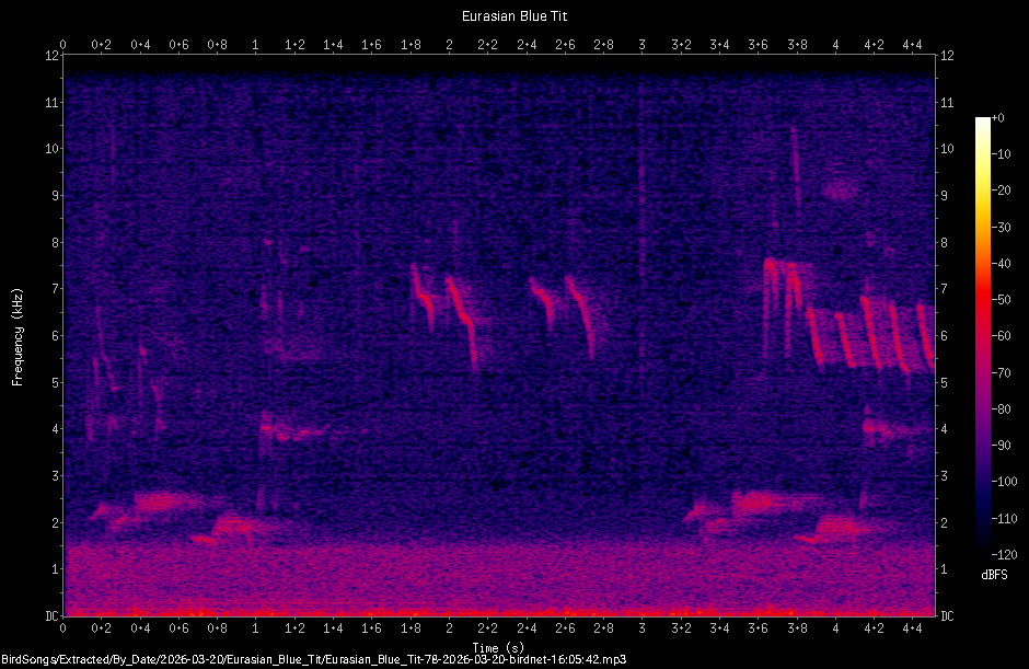 Spectrogram