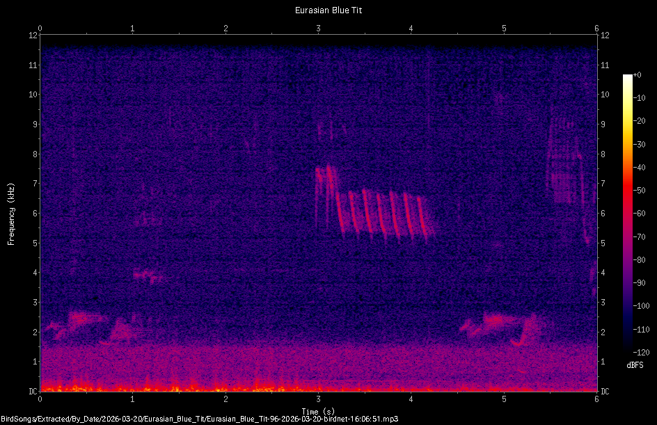 Spectrogram