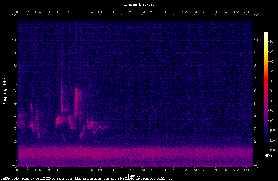 Spectrogram