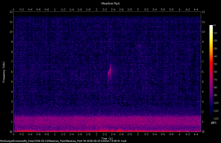 Spectrogram