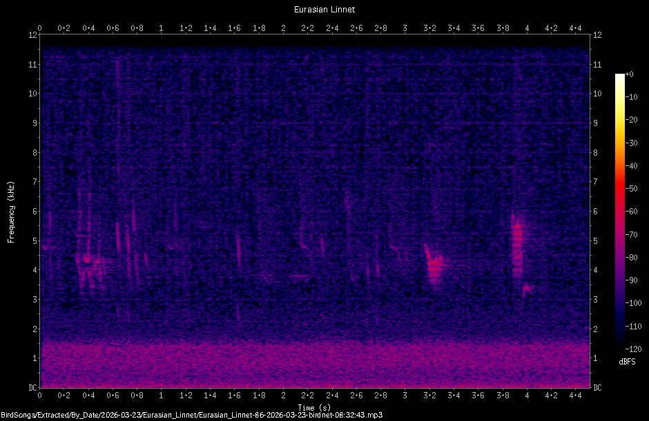 Spectrogram
