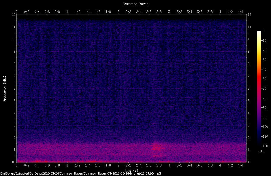 Spectrogram