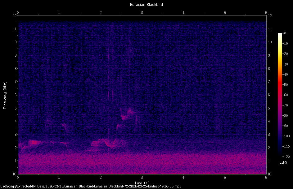 Spectrogram