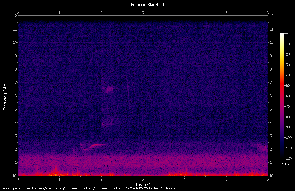 Spectrogram