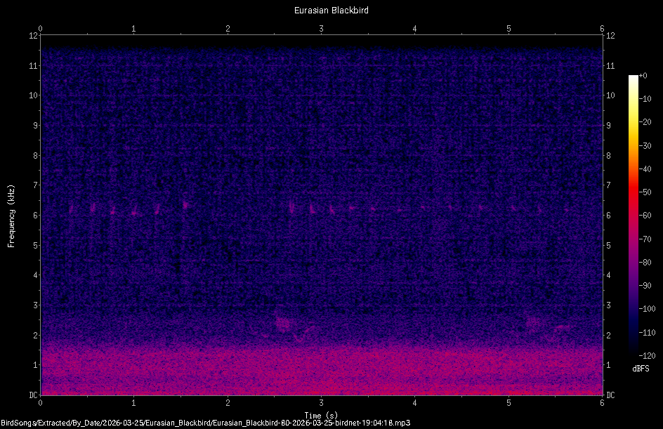 Spectrogram