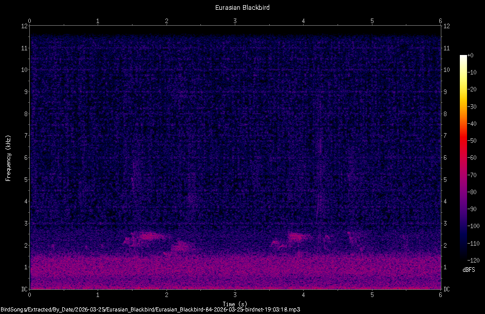 Spectrogram