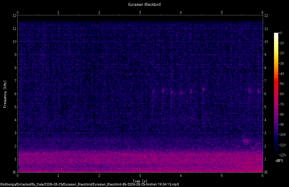 Spectrogram
