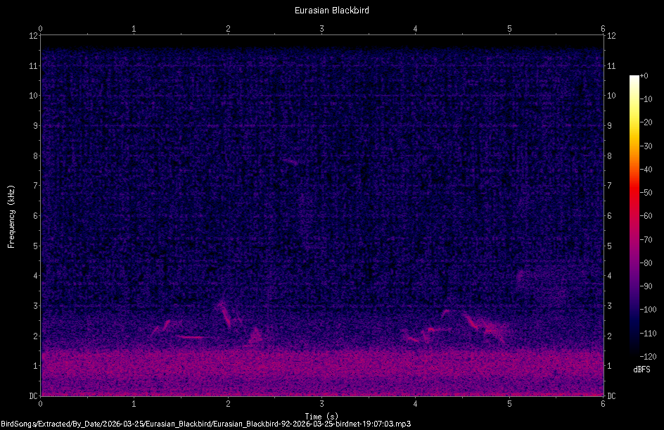 Spectrogram