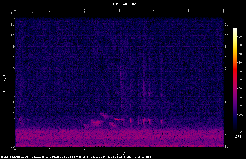Spectrogram