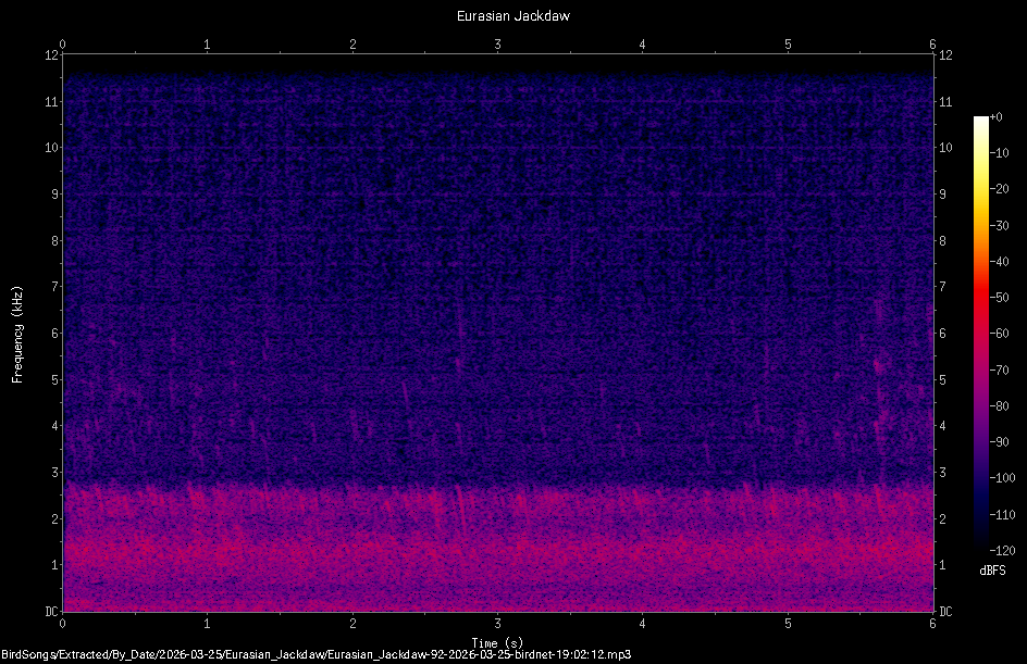 Spectrogram