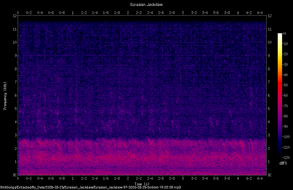 Spectrogram