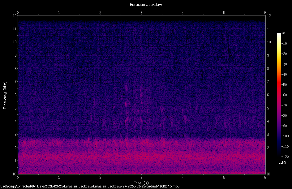 Spectrogram