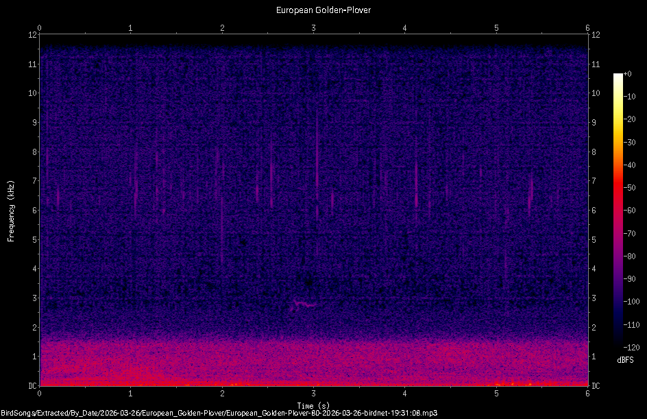 Spectrogram