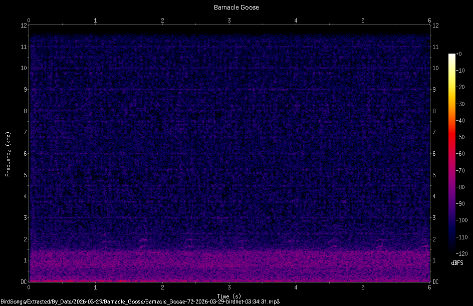 Spectrogram