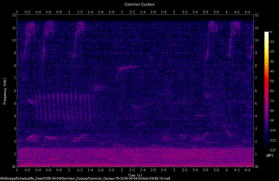 Spectrogram