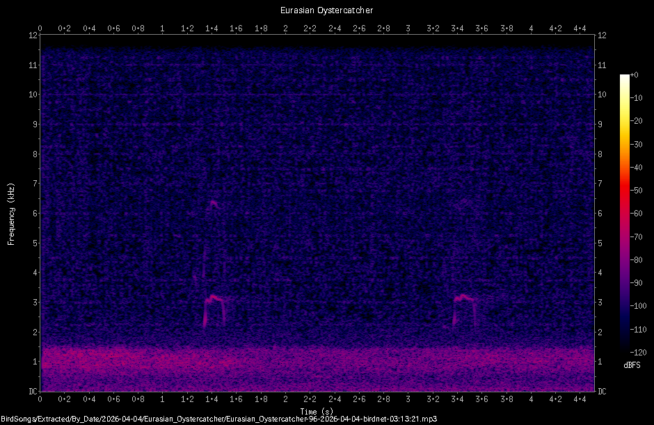 Spectrogram