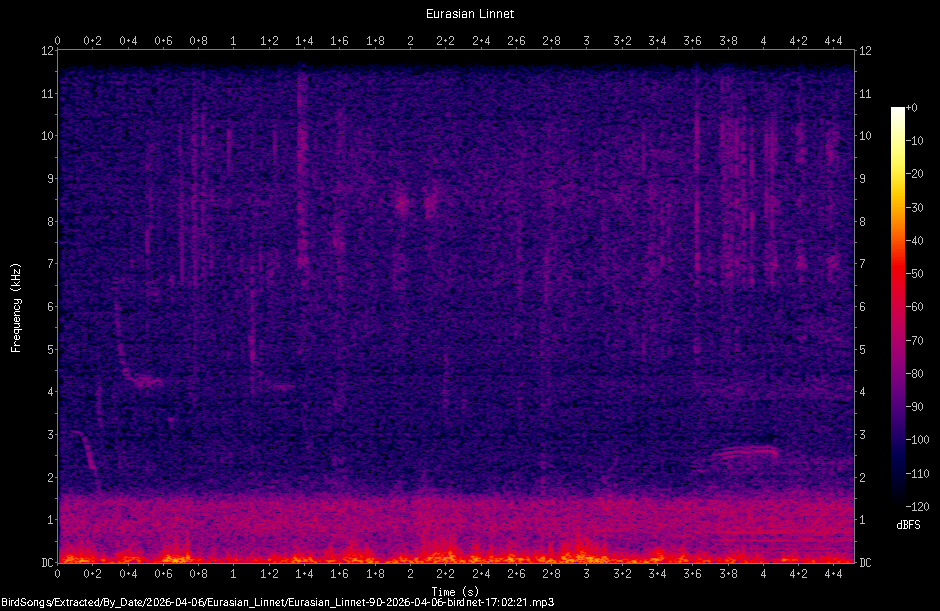 Spectrogram