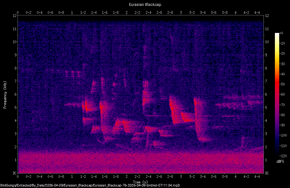 Spectrogram