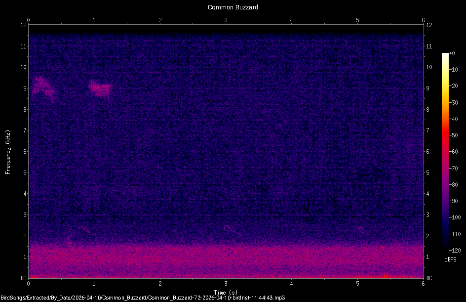 Spectrogram