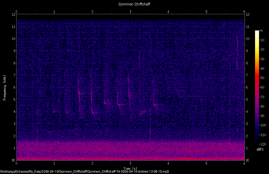 Spectrogram