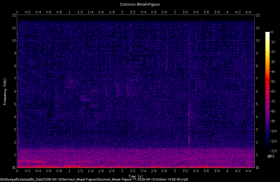 Spectrogram