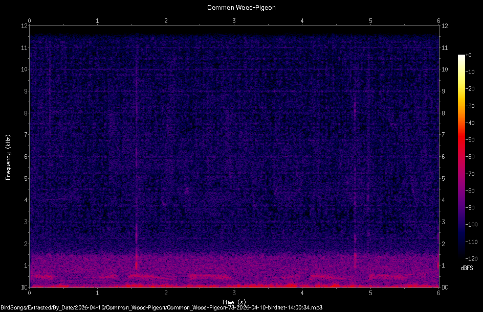 Spectrogram
