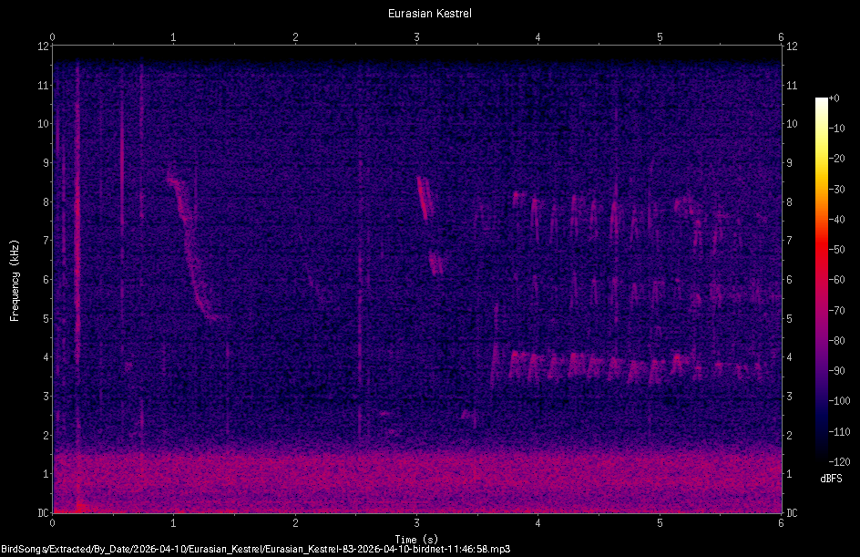 Spectrogram