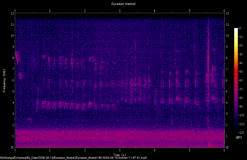 Spectrogram