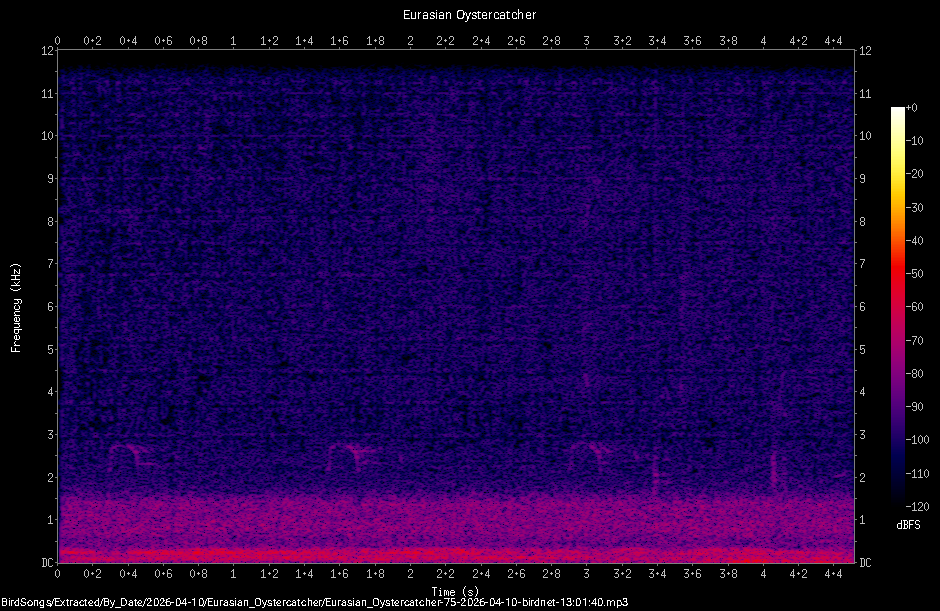 Spectrogram