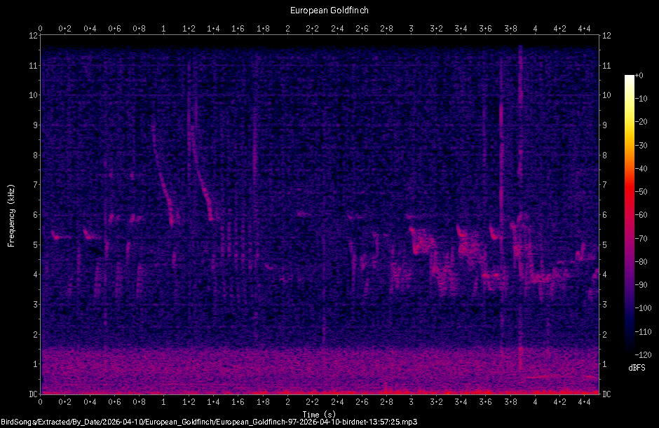 Spectrogram