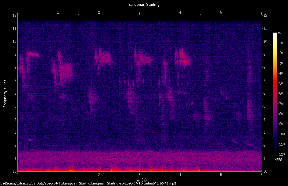 Spectrogram