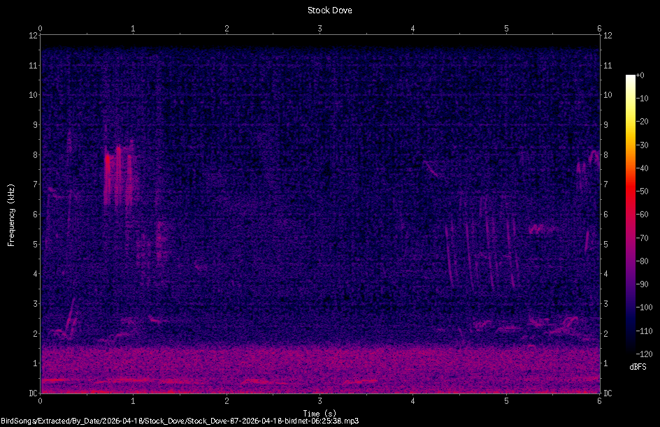 Spectrogram