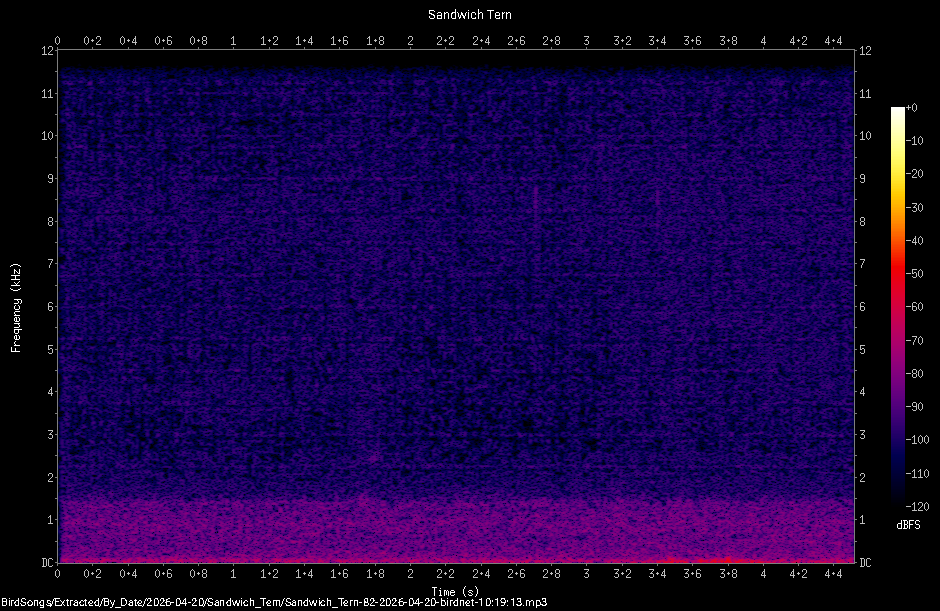 Spectrogram