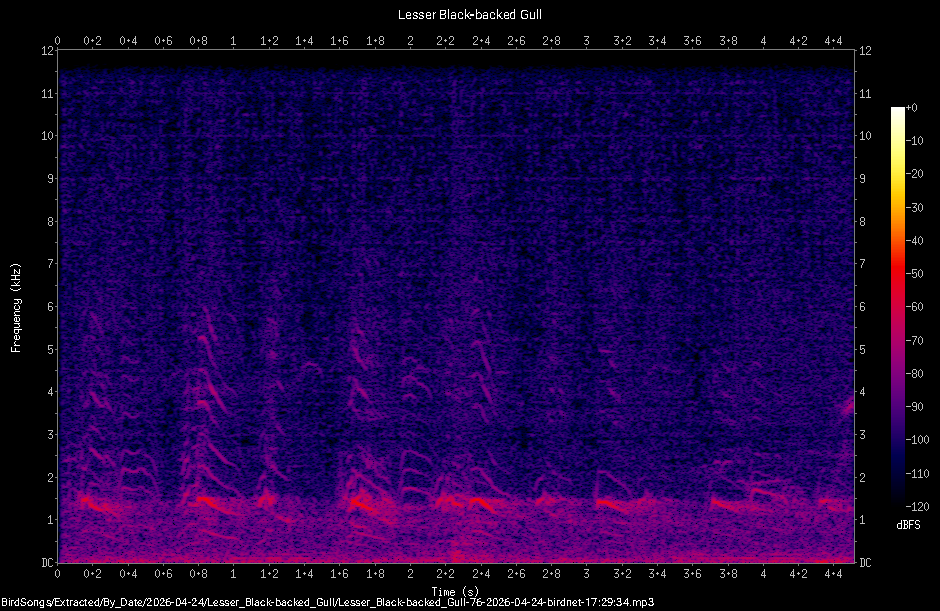 Spectrogram