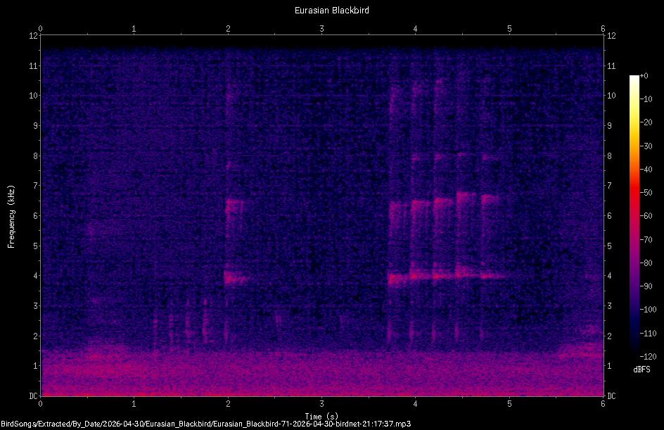 Spectrogram