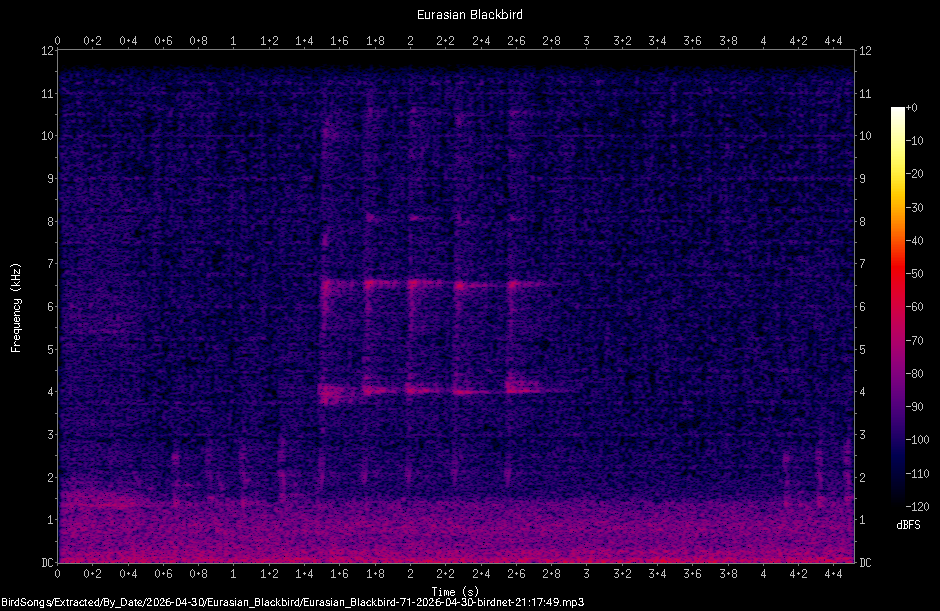 Spectrogram