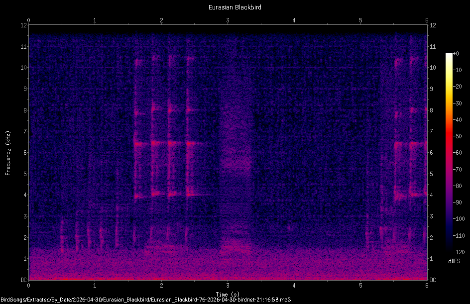 Spectrogram